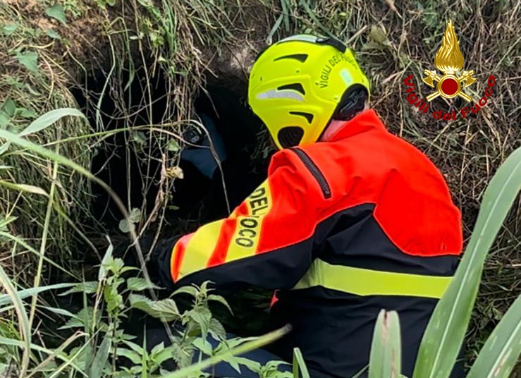 Tragedia ad Asolo, trovata morta la donna scomparsa due giorni fa