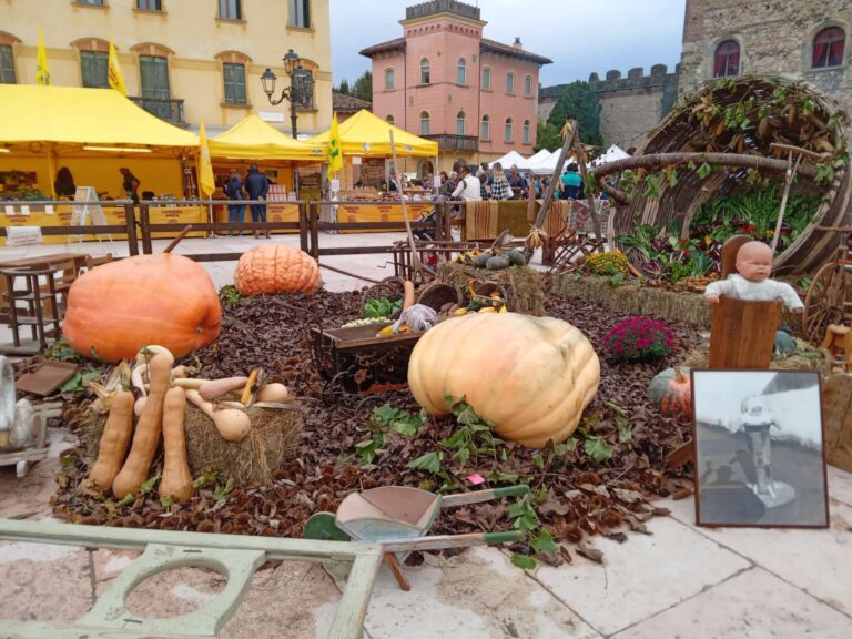 Halloween tra luci e ombre per le zucche “Made in Italy”: il Veneto si difende