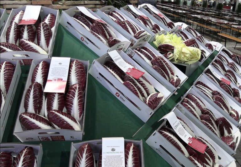 A Scorzè novembre all’insegna della 42esima Festa del Radicchio di Rio San Martino