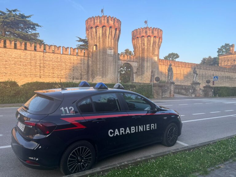 Coltivazione illegale di marijuana a Roncade: in casa avevano altra droga, arrestati due 40enni