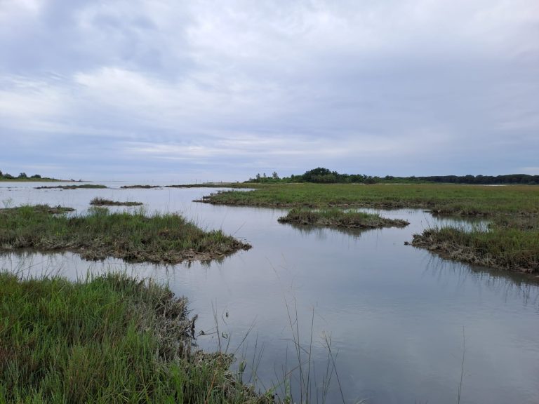 Laguna di Caorle: lo studio di ECO2SMART rivela come cambiano le barene artificiali