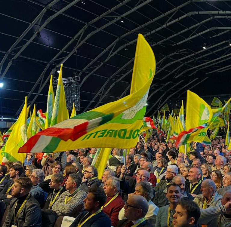 Made in Italy a rischio, Coldiretti: “Necessario modificare il codice doganale per non cadere in inganno”