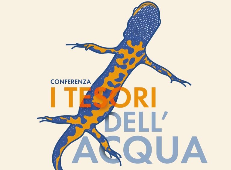 Serata dedicata a “I tesori dell’Acqua”: a Mel arrivano gli anfibi del naturalista e fotografo Marco Colombo