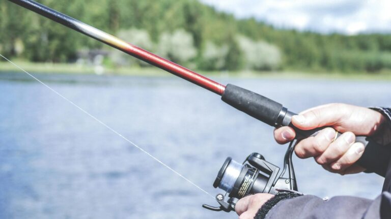 Regione Veneto, stanziati 838 mila euro a sostegno delle associazioni di pesca