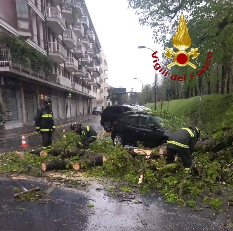 Maltempo a Treviso: stanotte 15 interventi dei Vigili del fuoco
