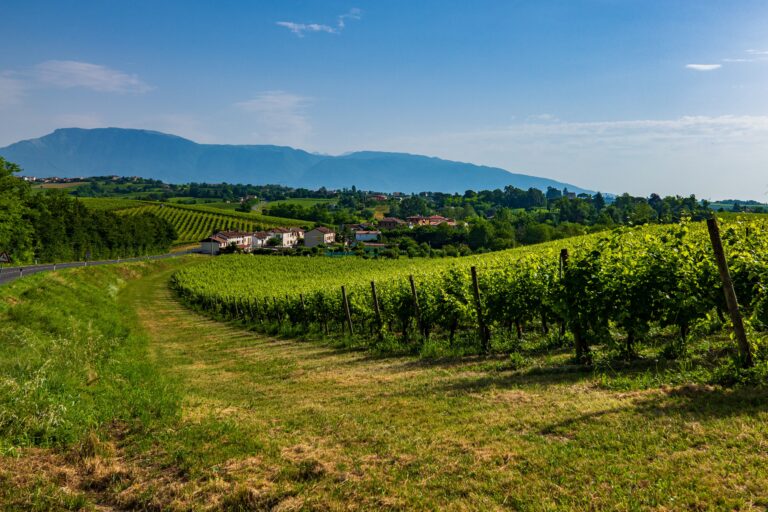 Colli veneti, dalla Regione 200mila euro per la valorizzazione del territorio
