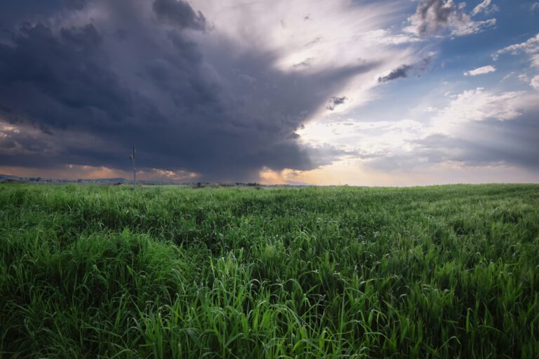 Maltempo in arrivo sul Veneto: da mercoledì allerta arancione per temporali e rischio idrogeologico