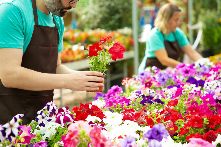 Oriago in Fiore, torna la storica festa: già da venerdì street food e eventi