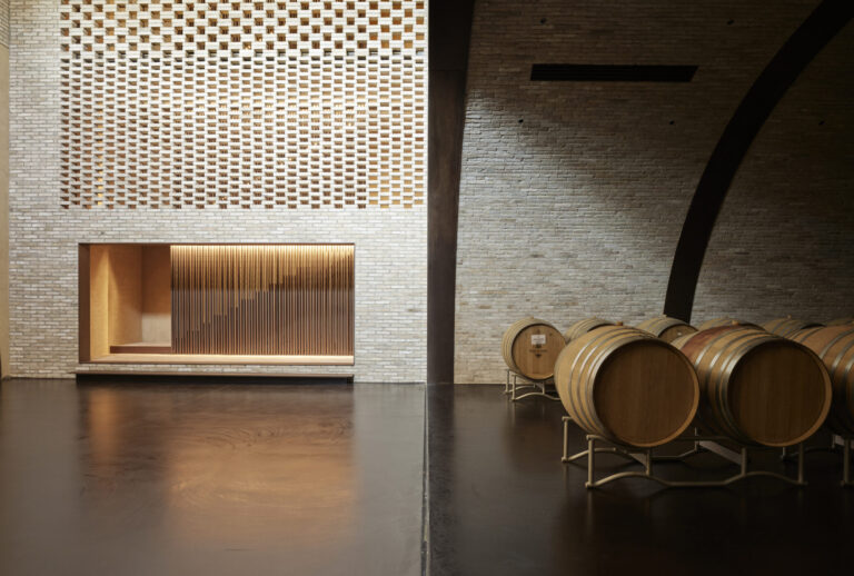 A Ca’ Scarpa il vino diventa paesaggio: a Treviso la mostra che unisce terra, architettura e cultura del Prosecco