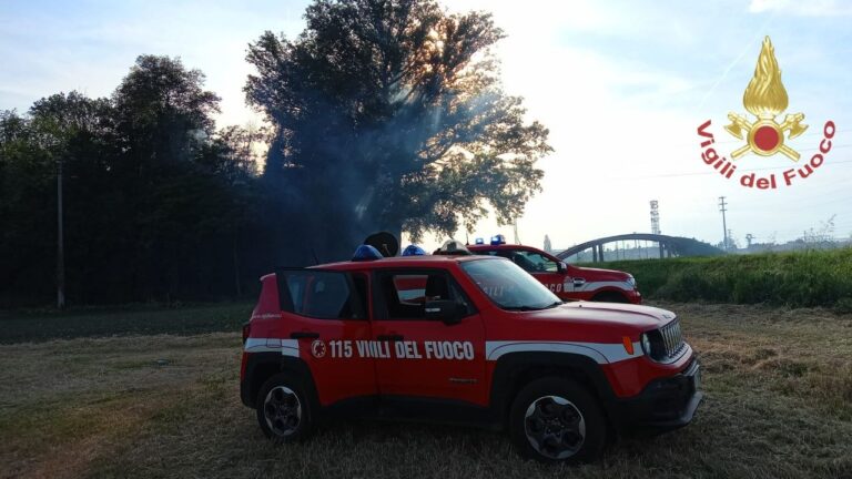 Rovigo, vasto incendio al parco Langer
