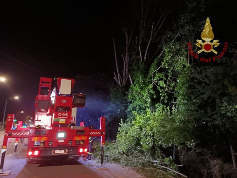 Rovigo, incendio al Parco Langer: concluse nella notte le operazioni di spegnimento