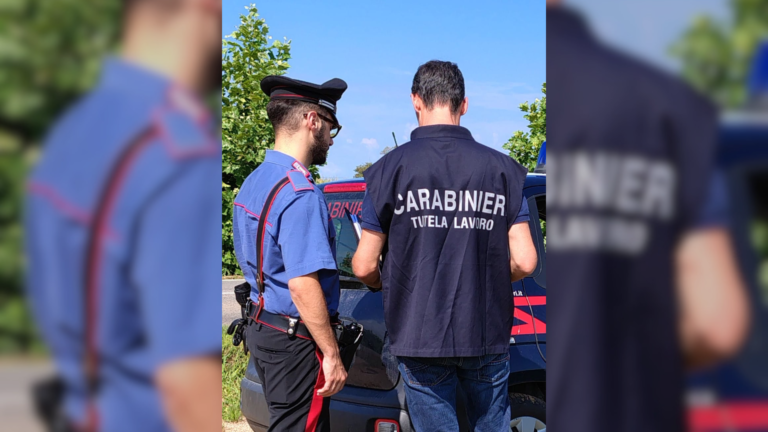 Treviso, 7 attività sospese e 12 persone sanzionate per violazioni in materia di sicurezza sul lavoro
