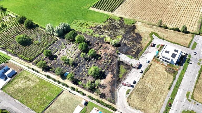 Incendio di sterpaglie a Vo’, fiamme vicino alle abitazioni: rogo sotto controllo