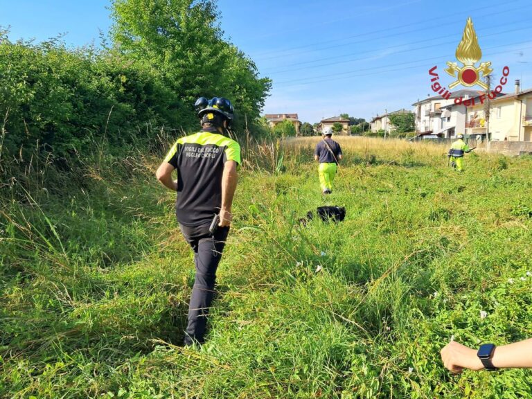 Spinea (VE), 19enne scomparso: ricerche in corso