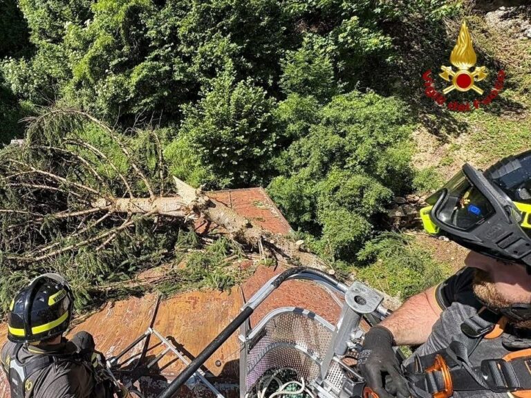 Albero di 30 metri crolla sul tetto di una casa, intervento dei Vigili del Fuoco a Carsiè