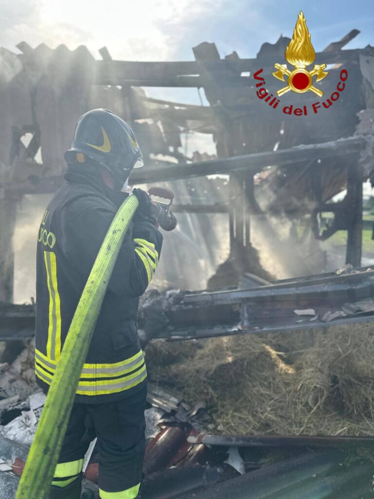 Treviso, a fuoco una scuderia: nell’incendio morti sei cavalli