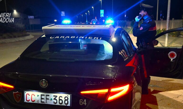Padova, scoperta piantagione di marijuana in un appartamento