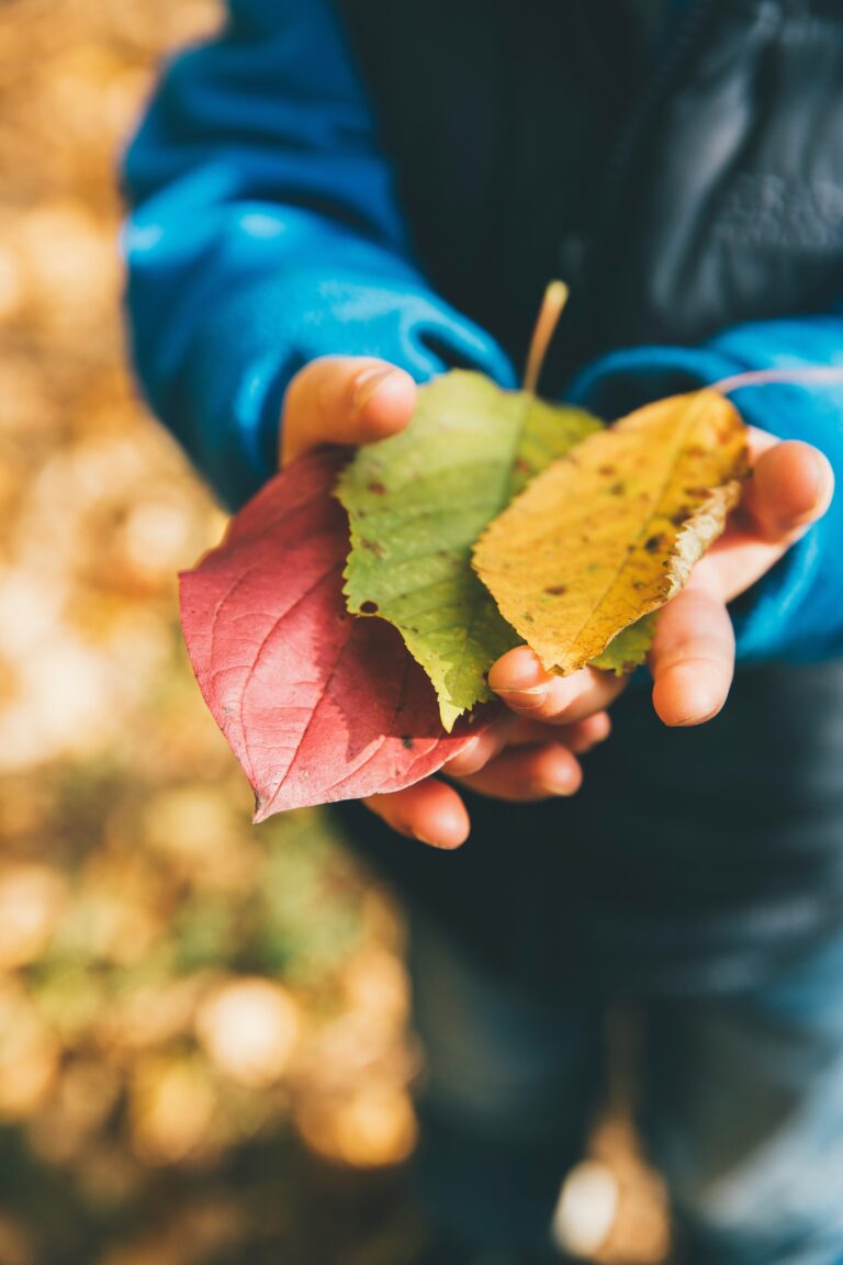 Montegrotto, un pomeriggio tra fiori e fantasia: venerdì 17 luglio laboratorio creativo per i bambini al Centro Alda Merini
