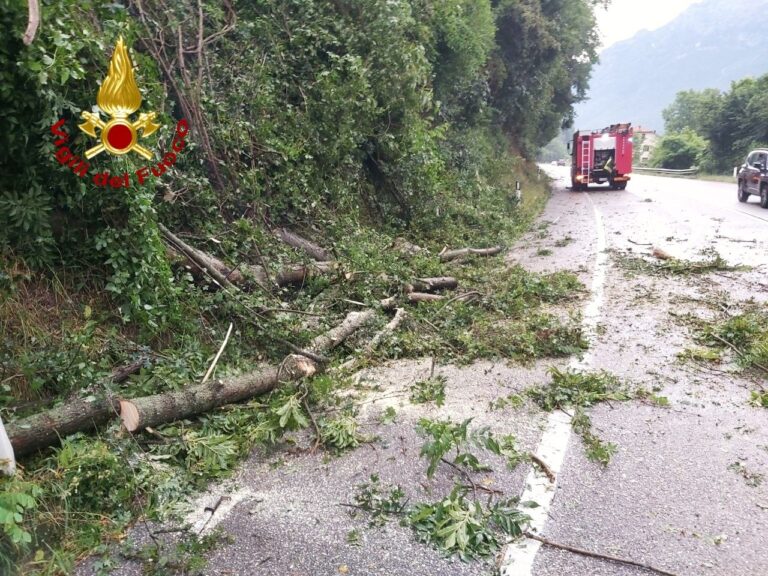 Maltempo nel Bellunese, 17 interventi dei vigili del fuoco in cinque ore