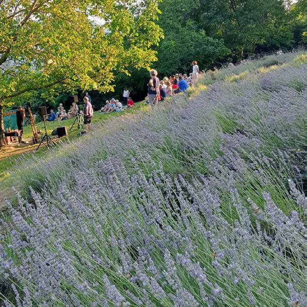 Schio, nuovo fine settimana per Fuoribosco: tra arpe celtiche e le stelle di San Lorenzo