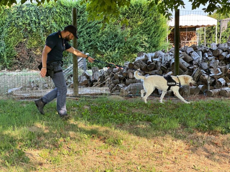 Operazione della Polizia nei campi nomadi di Padova: sequestrata refurtiva, 83 persone identificate