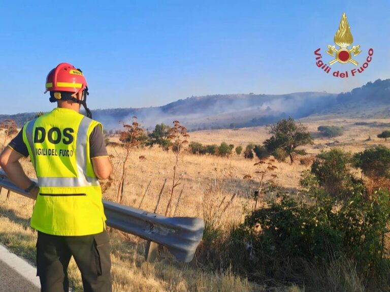 Incendi boschivi sul Gargano, i DOS dei vigili del fuoco del Veneto impegnati nelle operazioni di spegnimento