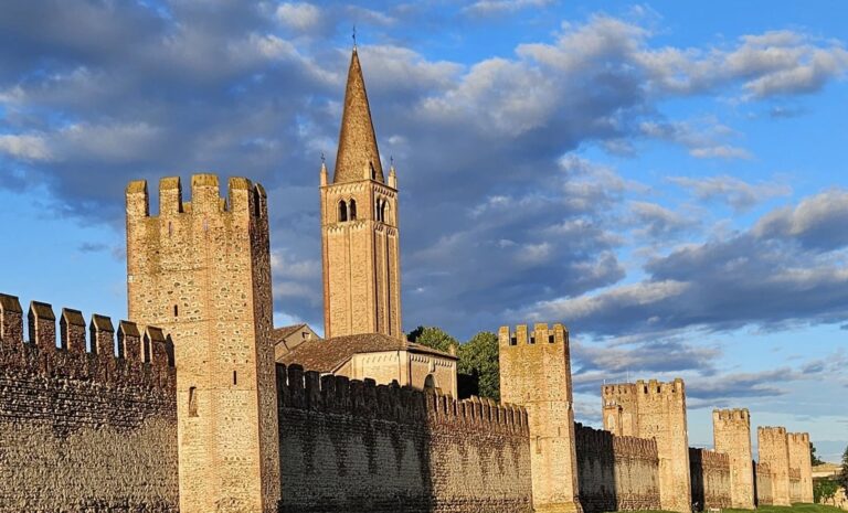 Montagnana, oltre 160 mila euro consegnati come contributi al distretto del commercio