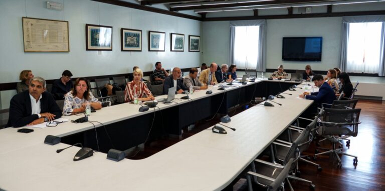 La quinta commissione approva il rafforzamento del servizio sanitario, Manildo e Luisetto (Pd): “Senza soldi rischiamo di privatizzare il settore”