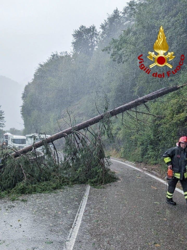 Maltempo nel bellunese: alberi e detriti nelle strade dell’Agordino e del Longaronese