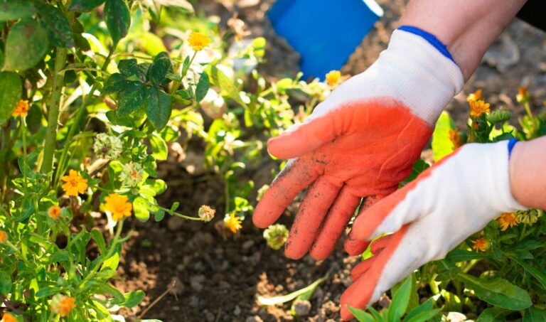 Caro fertilizzanti, Bond: “15 milioni per sostenere l’aumento dei costi di produzione degli agricoltori veneti”